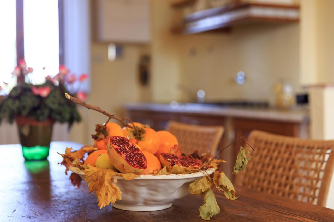 Agriturismo Fattoria Santo Stefano 그레베 인 키안티 외부 사진