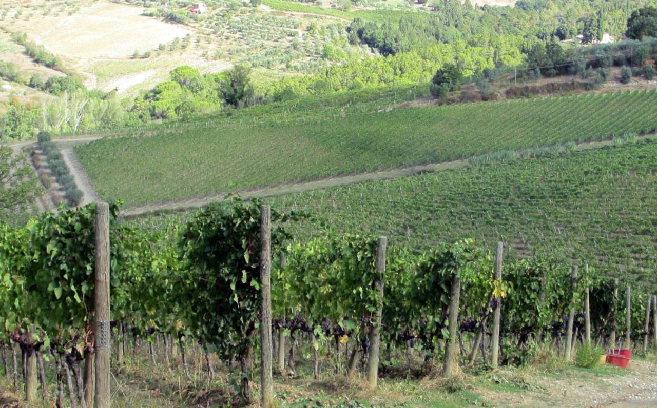 Agriturismo Fattoria Santo Stefano 그레베 인 키안티 외부 사진