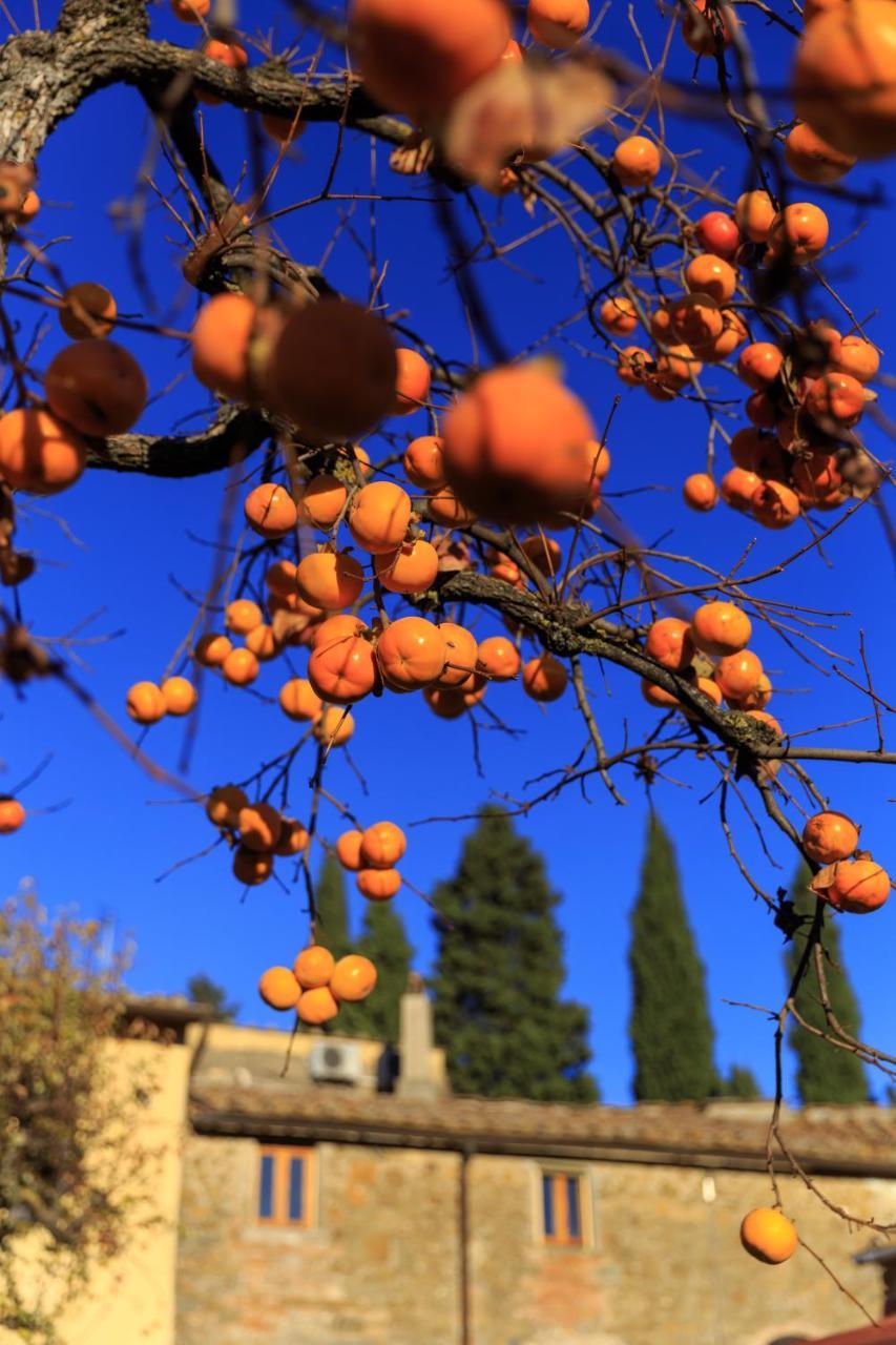 Agriturismo Fattoria Santo Stefano 그레베 인 키안티 외부 사진